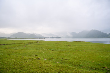 属蛇和虎怎么化解