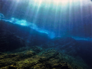 属蛇和虎怎么化解