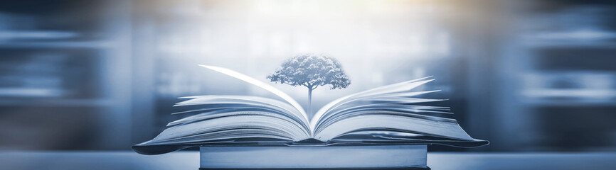 张廷玉的官职相当于现在的什么啊