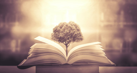 属蛇和虎怎么化解