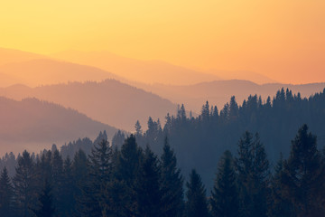 2009年的河西上海道小学和南开中营小学是如何划片的？