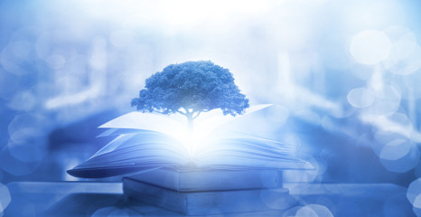 新能源汽车：探讨发展利弊与未来前景