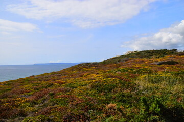 新能源汽车：探讨发展利弊与未来前景