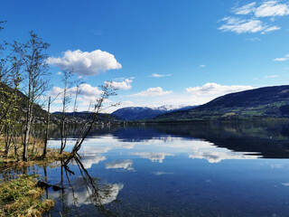 京东1号会员店是什么