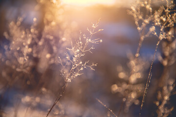 回弹钻芯法检测混凝土强度
