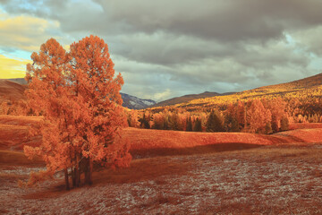 属蛇和虎怎么化解