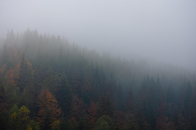 微信视频聊天没有声音是怎么回事