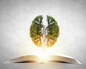 新能源汽车：探讨发展利弊与未来前景