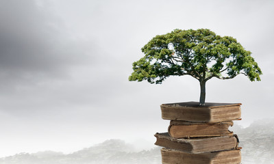 2009年的河西上海道小学和南开中营小学是如何划片的？