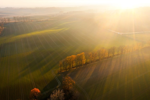 张廷玉的官职相当于现在的什么啊
