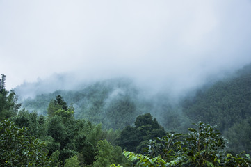 微信视频聊天没有声音是怎么回事